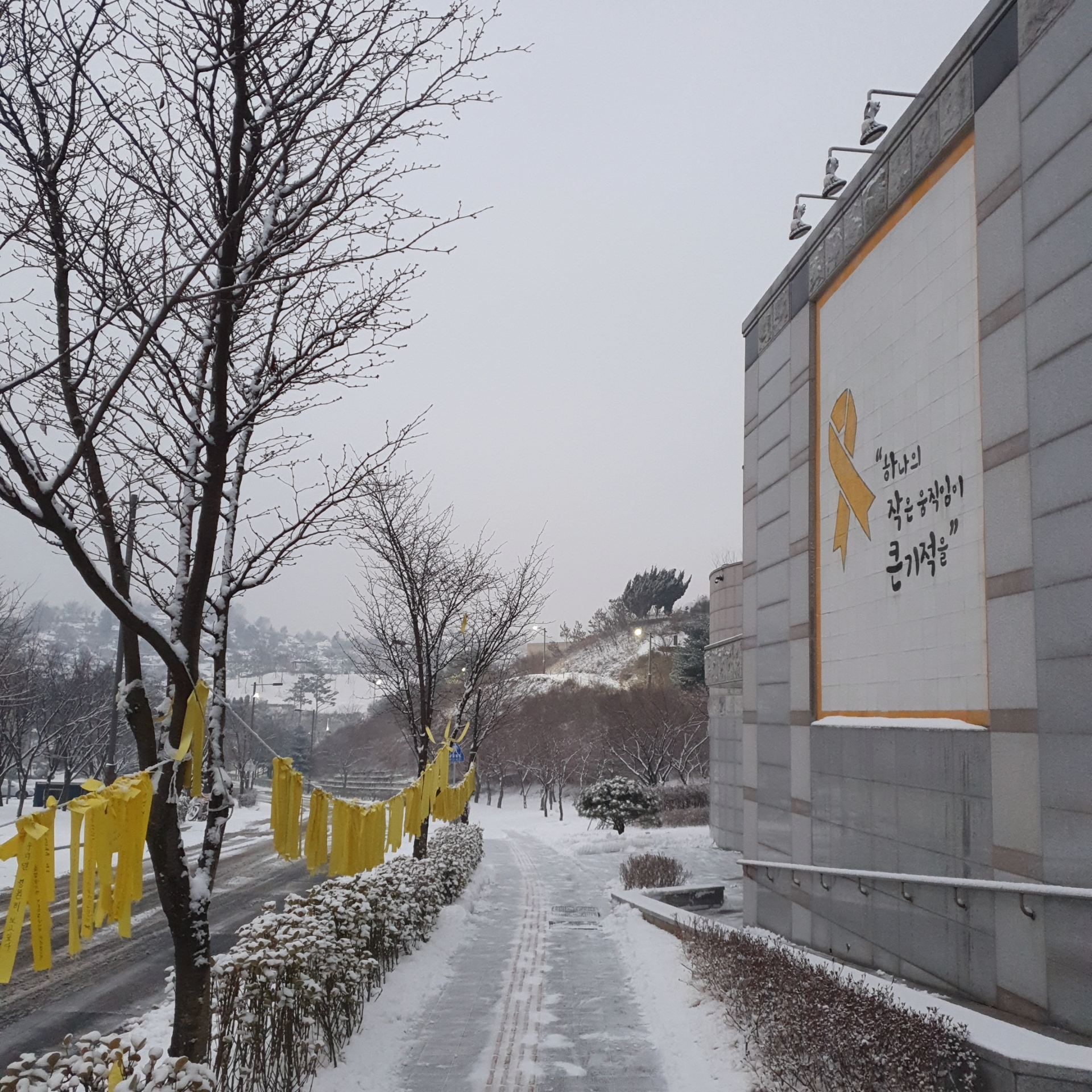 雪 사진