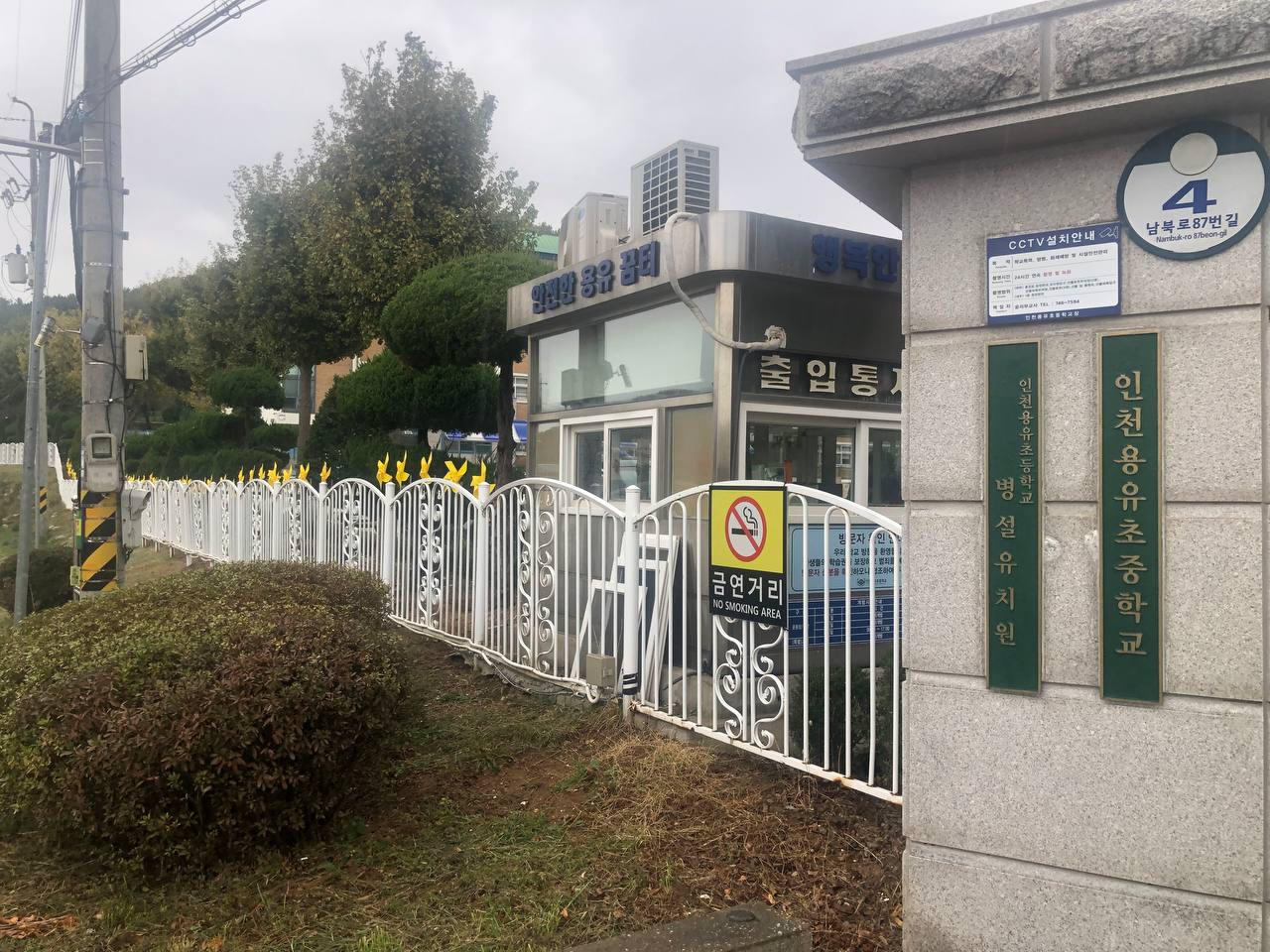 노랑드레언덕 이전 사진