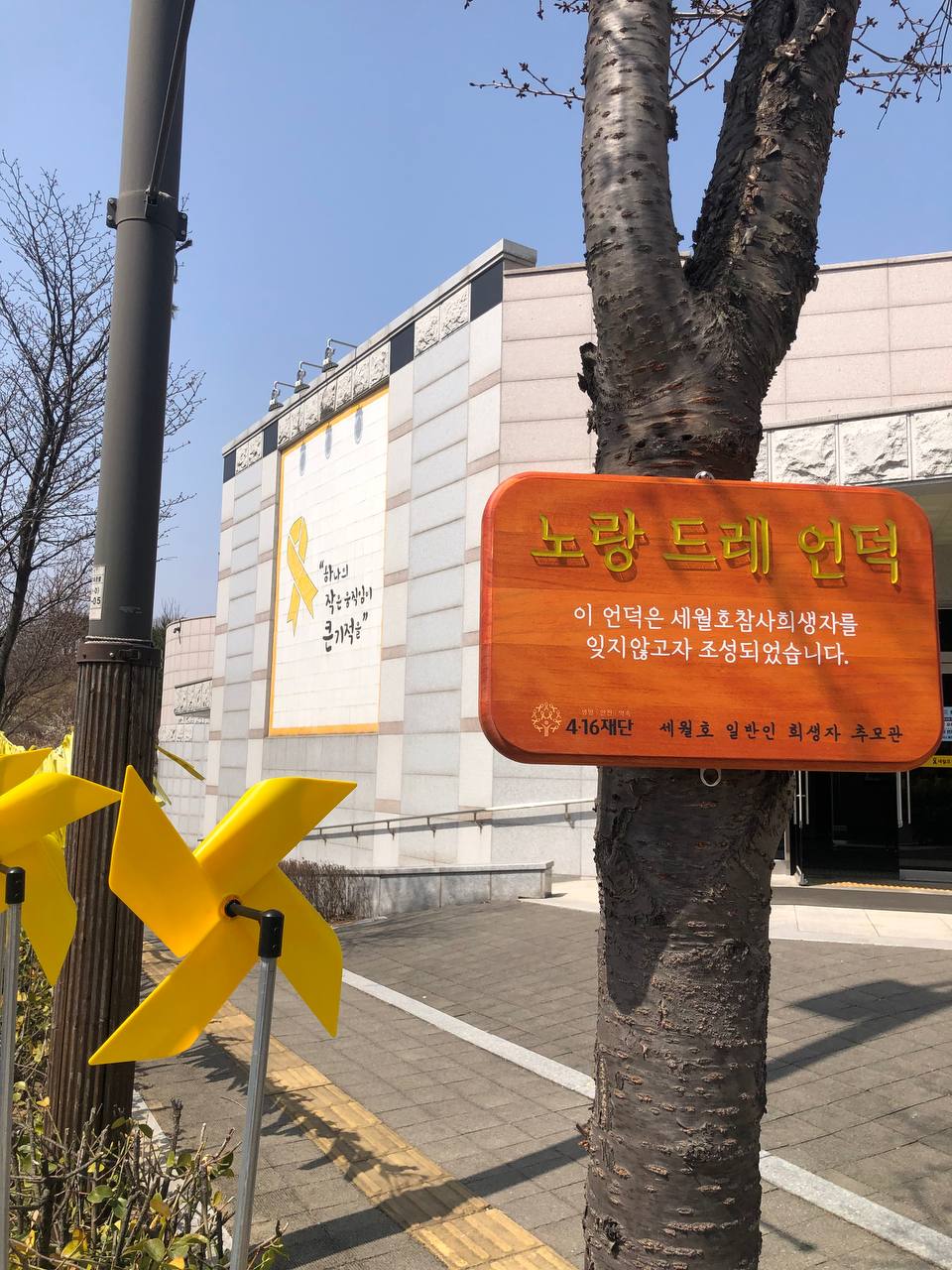 다섯번재 '노랑드레언덕' 대표 사진